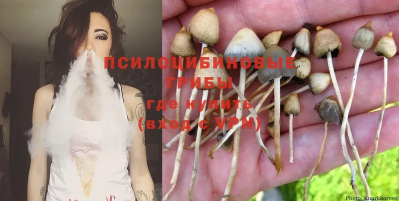 Псилоцибиновые грибы MAGIC MUSHROOMS  закладка  Новая Ляля 